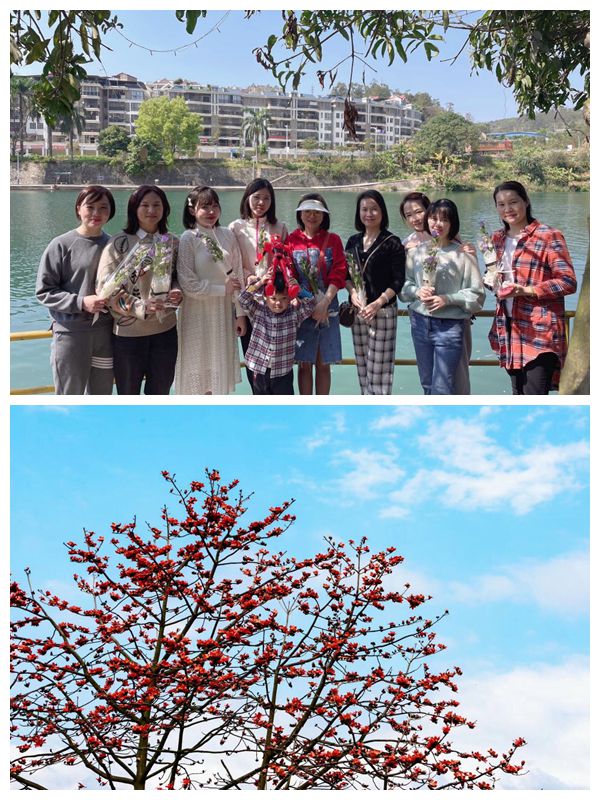 百色3.10 百色3.10